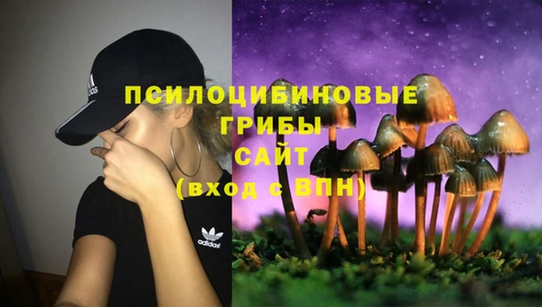 скорость Зеленокумск