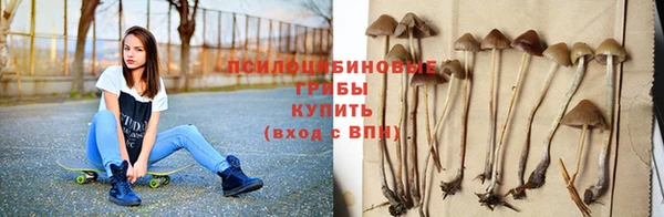 скорость Зеленокумск
