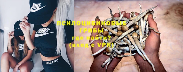 молекула духа Зерноград