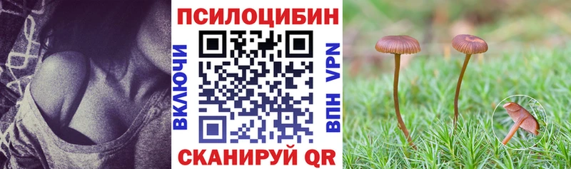 ссылка на мегу ТОР  купить наркоту  Сосногорск  Галлюциногенные грибы Psilocybine cubensis 